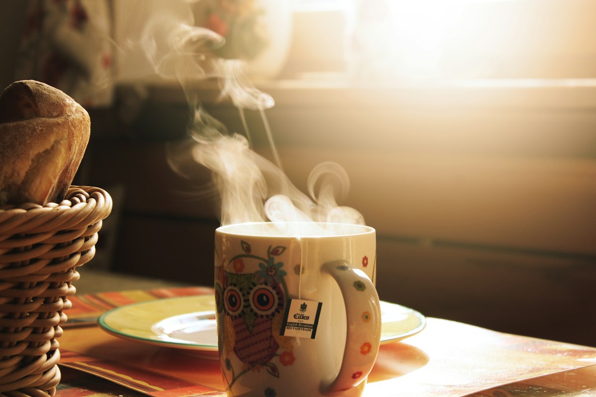 Gemeinschaft Sleepmemoryfocus